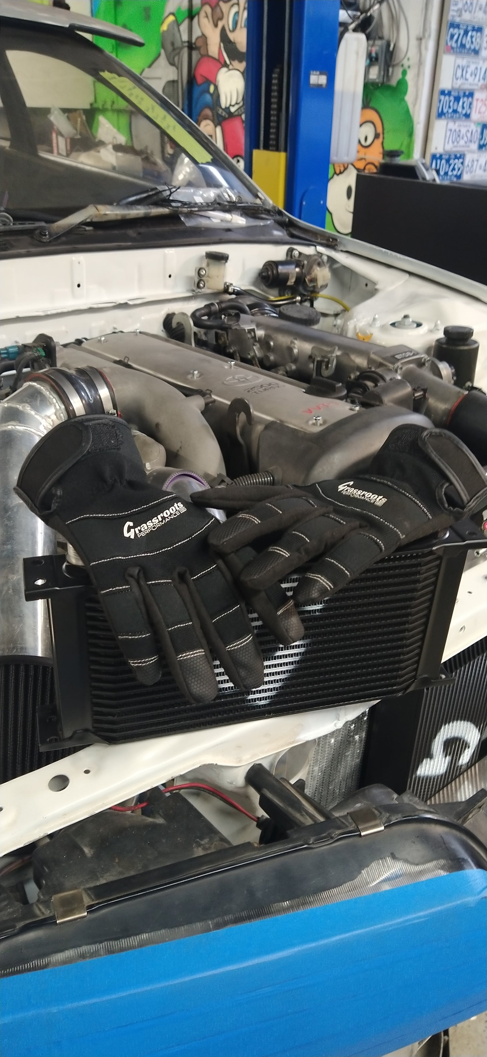 Official Working/Driving Gloves